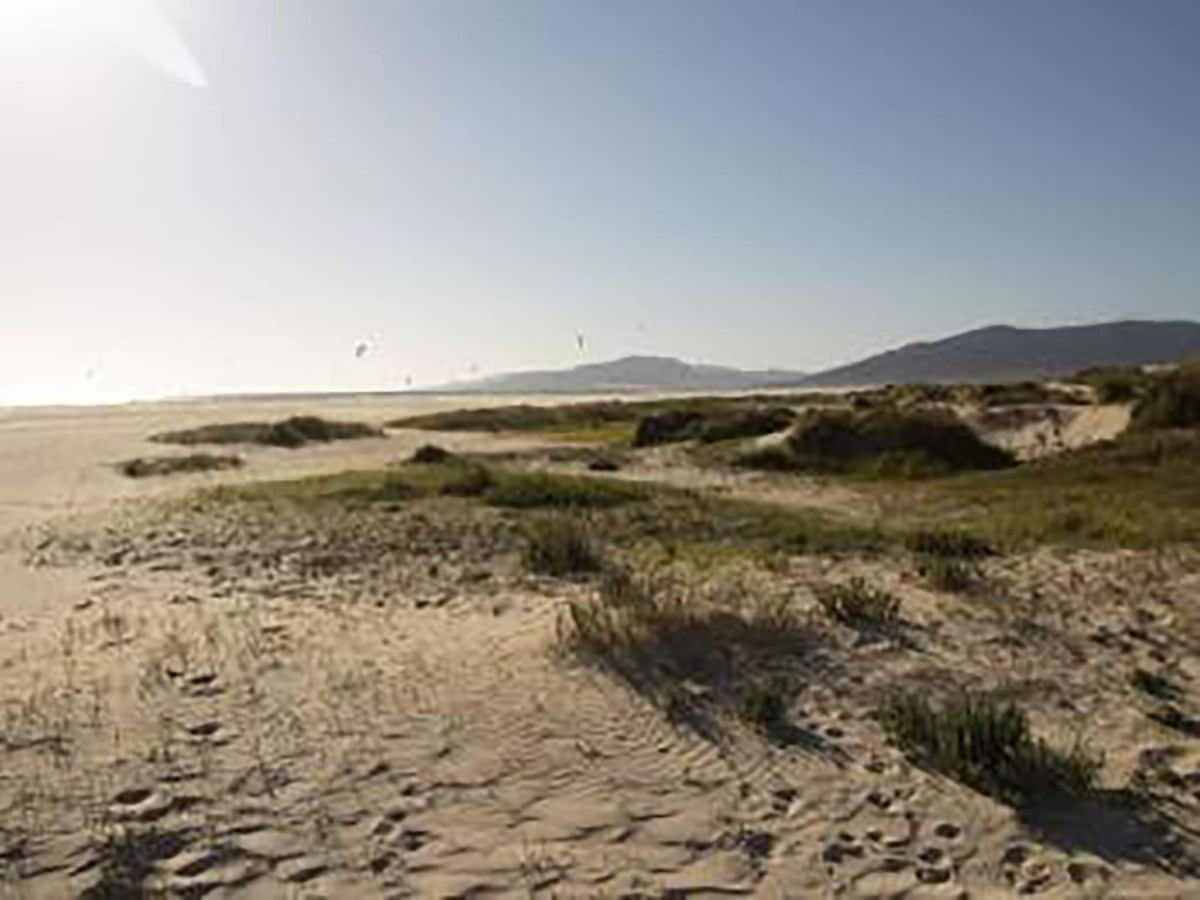 Céntrico Y Cerca De La Playa Apartamento *